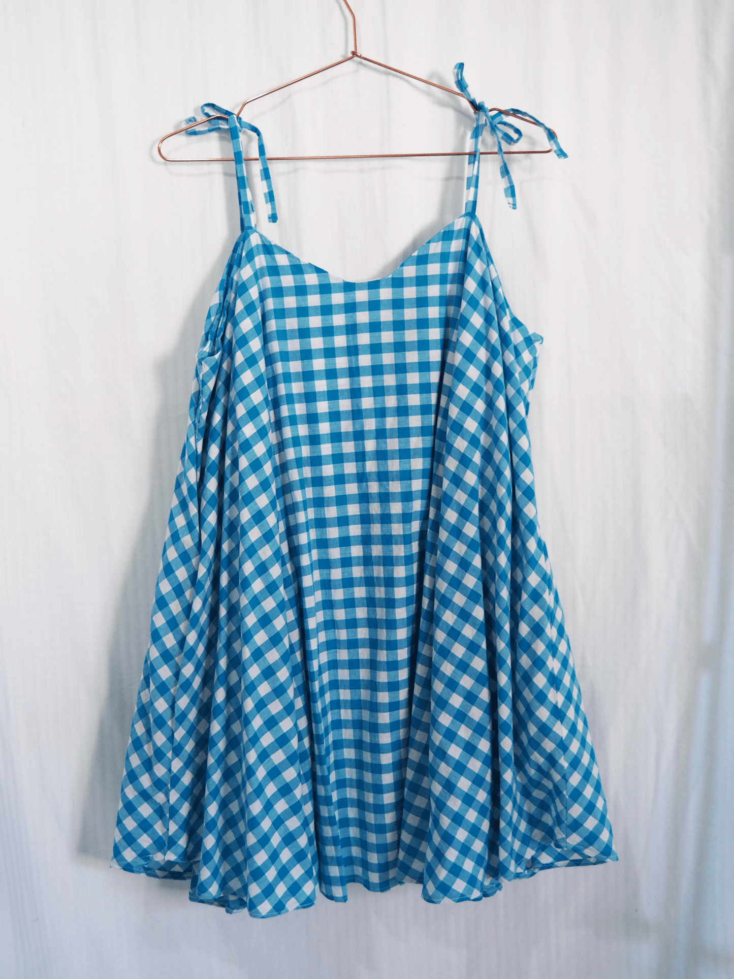 Fawn Dress in Blue Gingham (XXL)