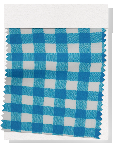 Cotton Gingham Print - Blue & White (Large)